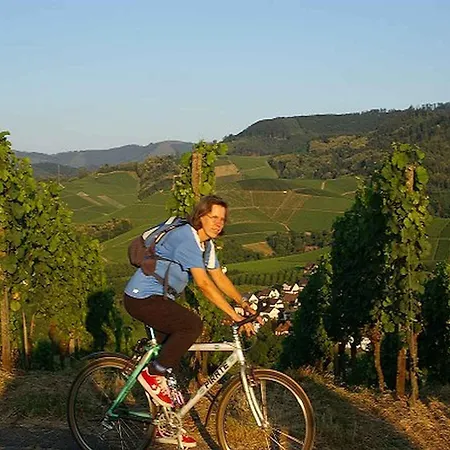 Hohberg דורבאך